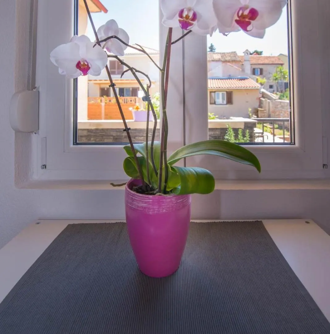 Apartment Ferienwohnung Andrej In Veli Losinj Croatia